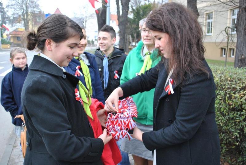 MRM Kotyliony MRM Kotyliony