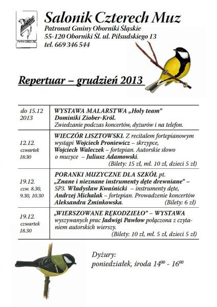 Salonik_grudzień_2013